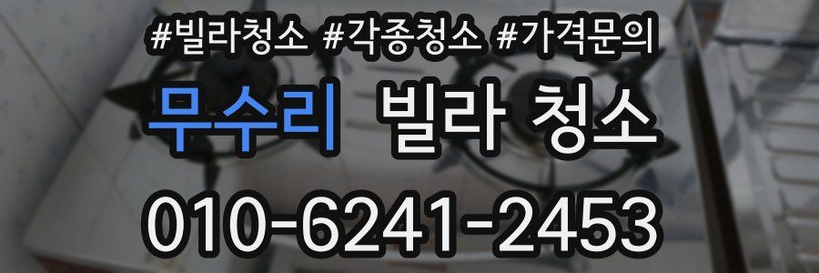 무수리 빌라 청소