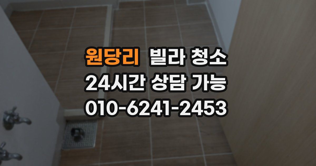 원당리 빌라 청소