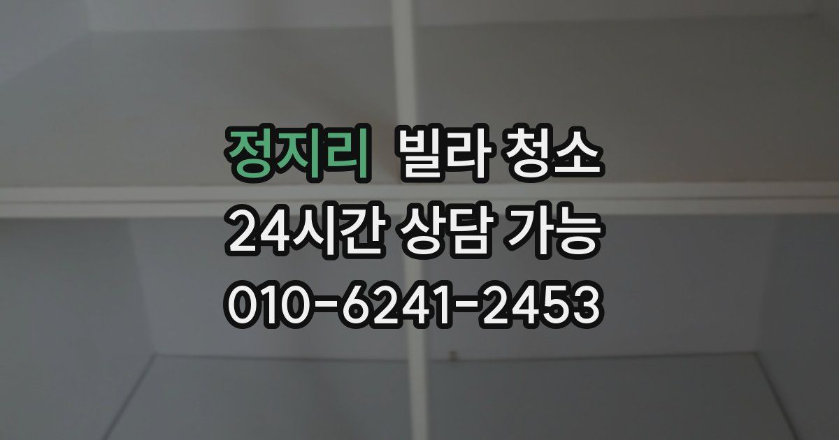 정지리 빌라 청소