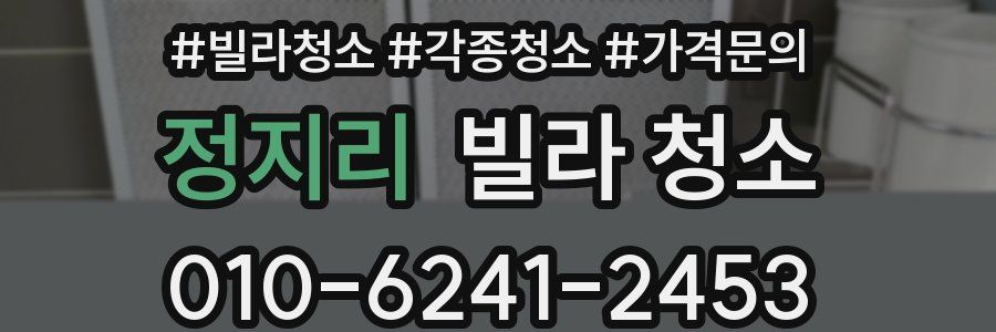 정지리 빌라 청소