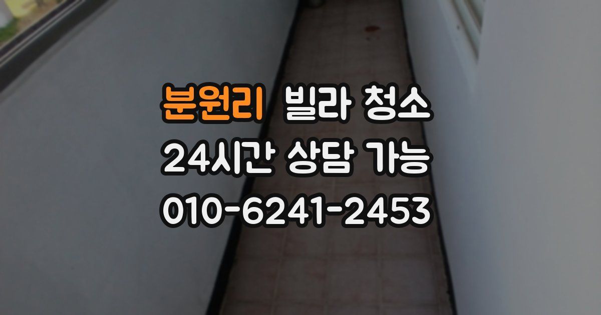 분원리 빌라 청소