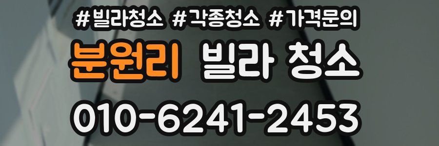 분원리 빌라 청소