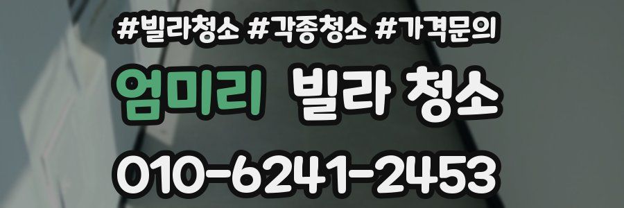 엄미리 빌라 청소