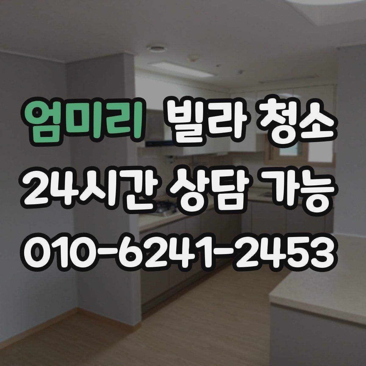 엄미리 빌라 청소