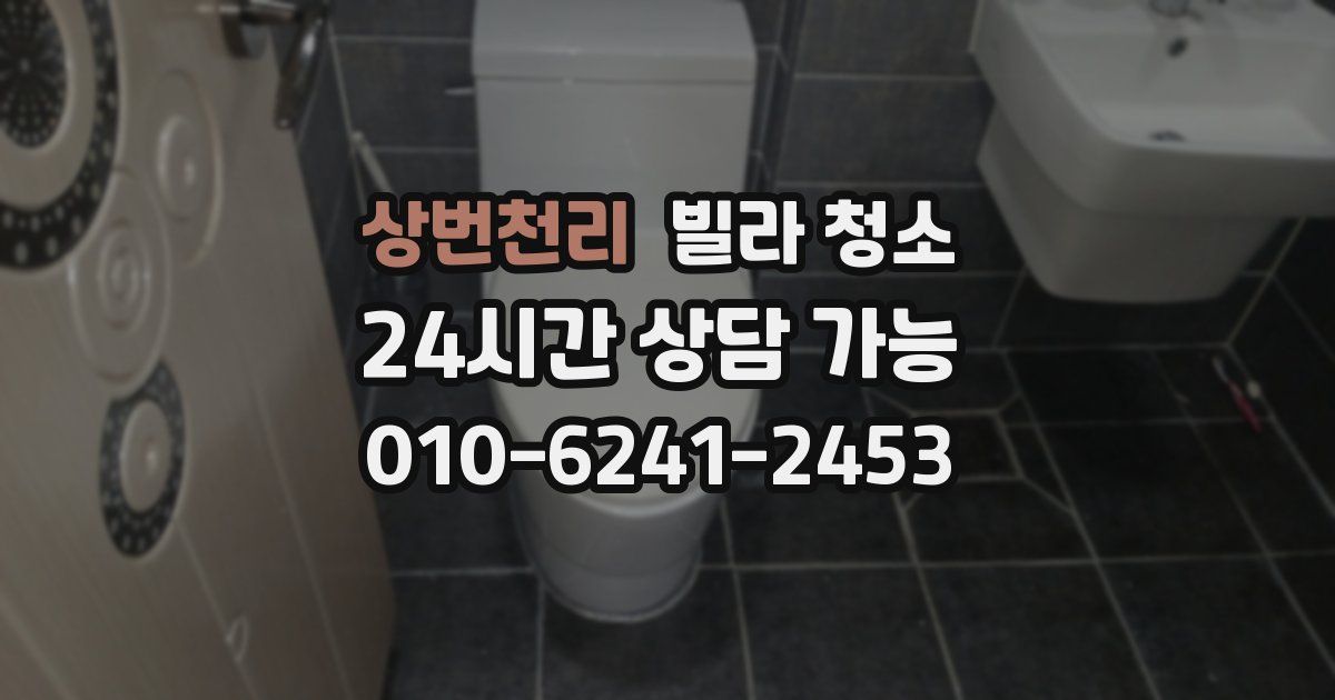 상번천리 빌라 청소