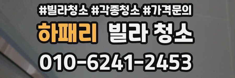 하패리 빌라 청소
