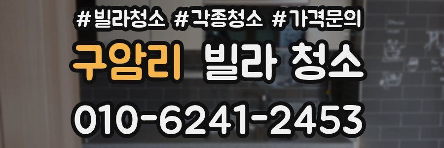 구암리 빌라 청소