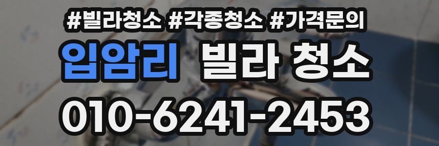 입암리 빌라 청소