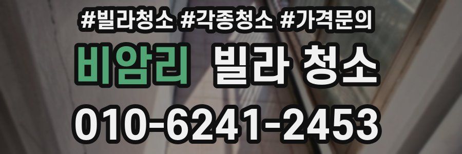 비암리 빌라 청소