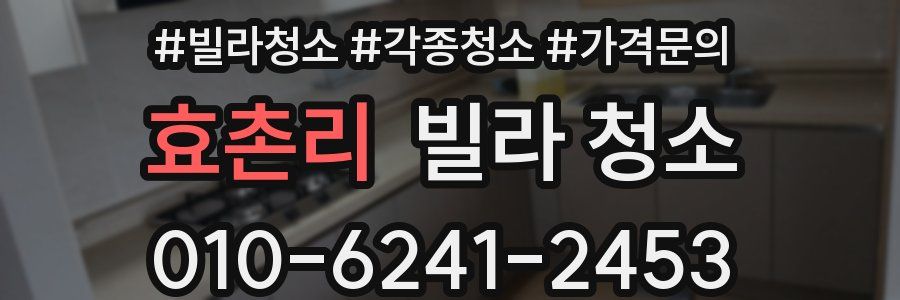 효촌리 빌라 청소