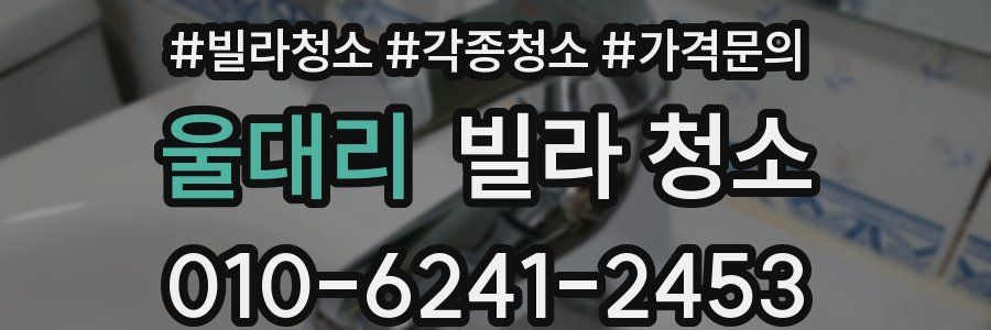 울대리 빌라 청소