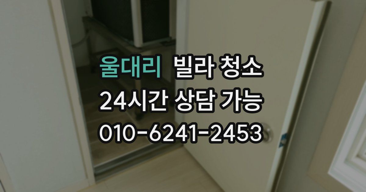 울대리 빌라 청소