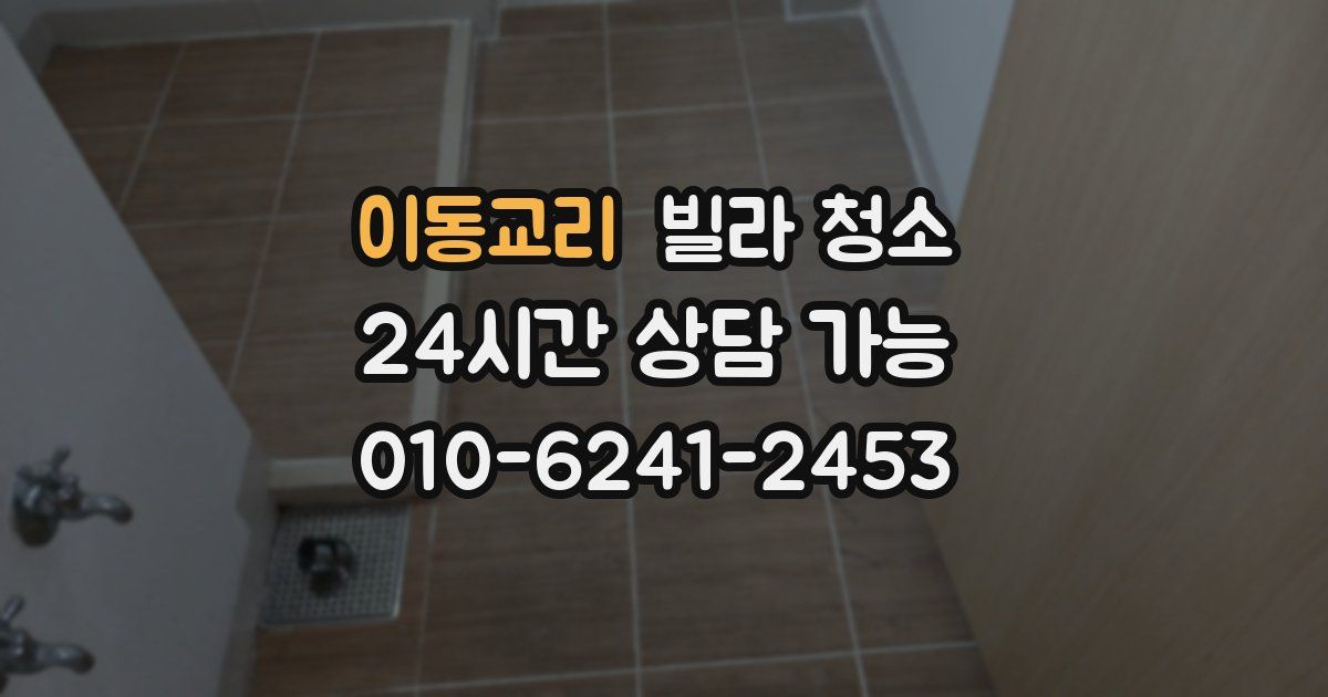 이동교리 빌라 청소