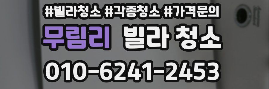 무림리 빌라 청소