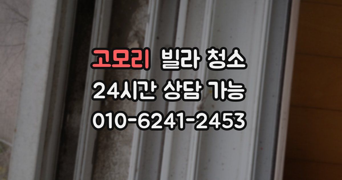 고모리 빌라 청소