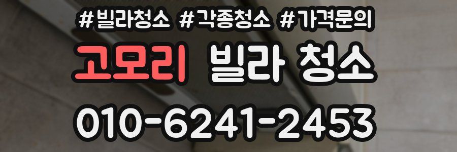 고모리 빌라 청소