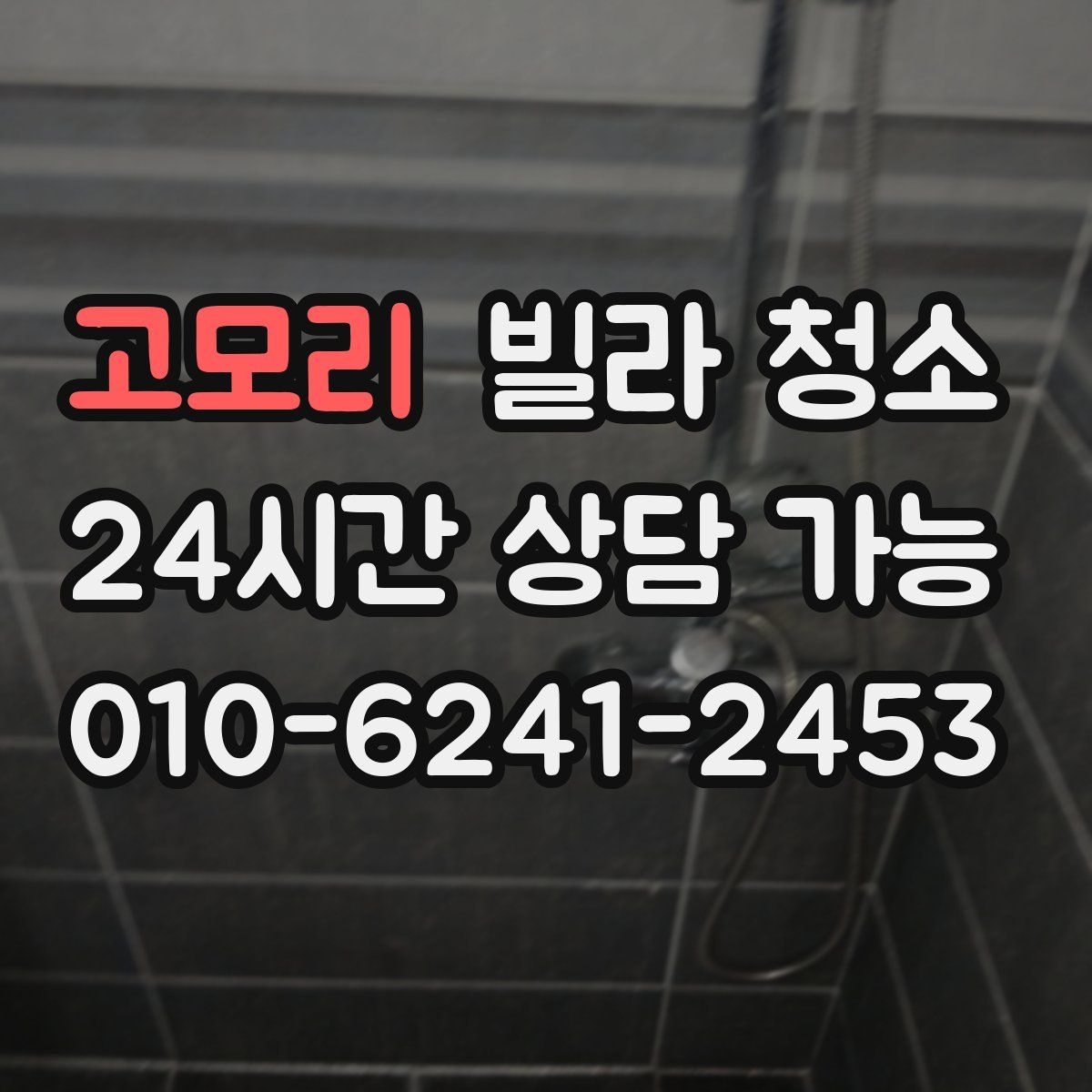 고모리 빌라 청소