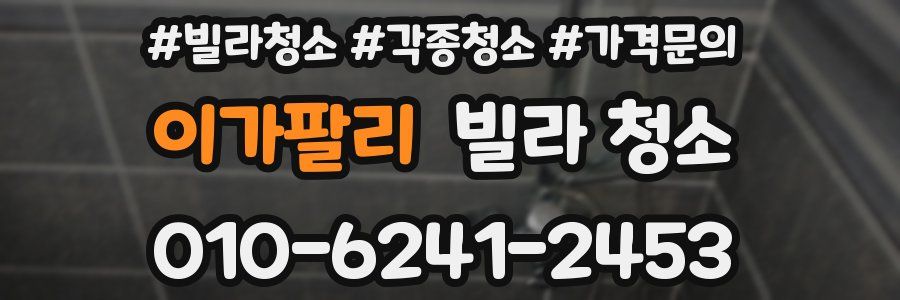 이가팔리 빌라 청소