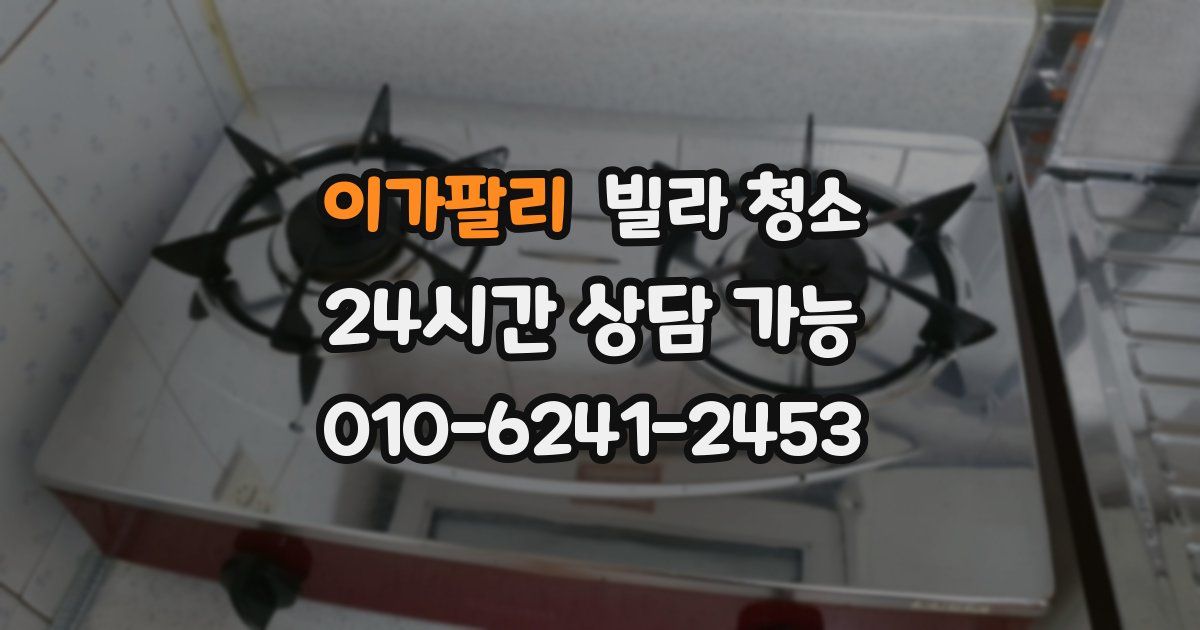 이가팔리 빌라 청소