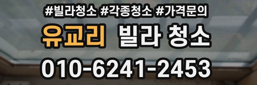 유교리 빌라 청소