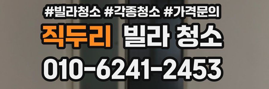 직두리 빌라 청소