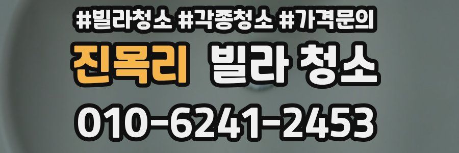 진목리 빌라 청소