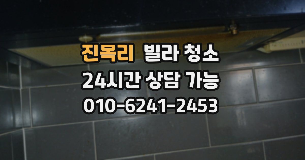 진목리 빌라 청소