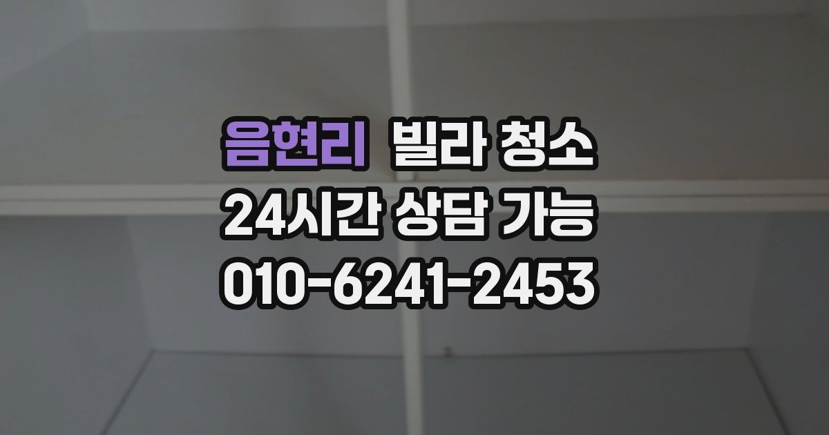 음현리 빌라 청소