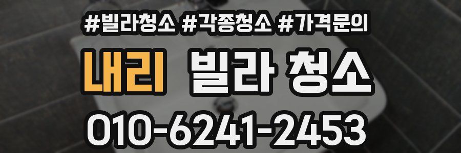 내리 빌라 청소