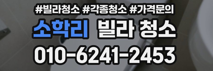 소학리 빌라 청소