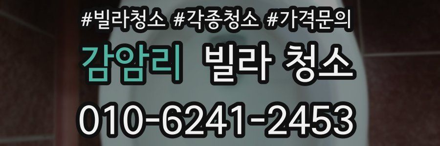 감암리 빌라 청소