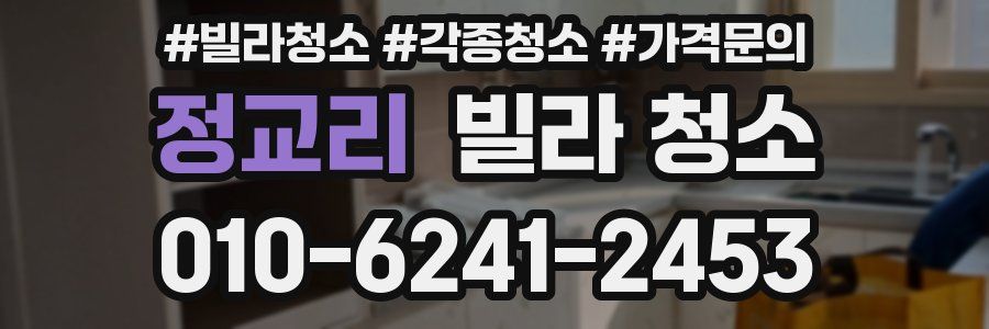 정교리 빌라 청소