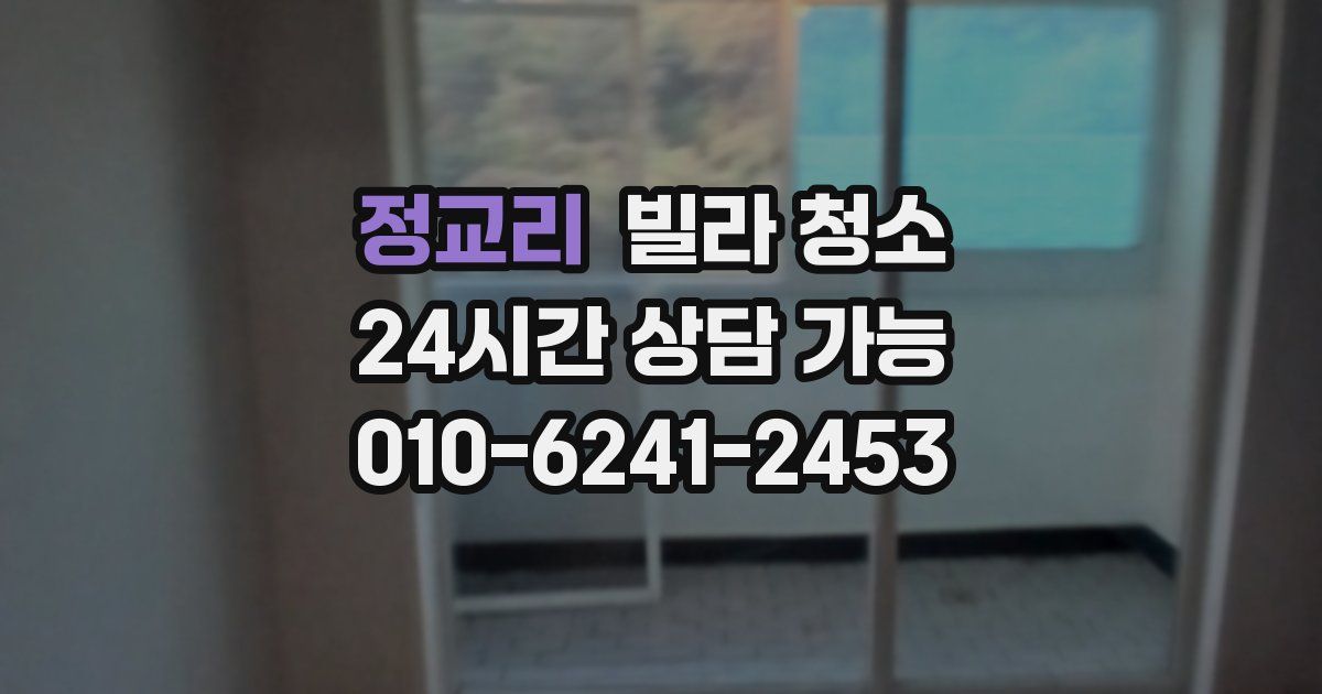 정교리 빌라 청소