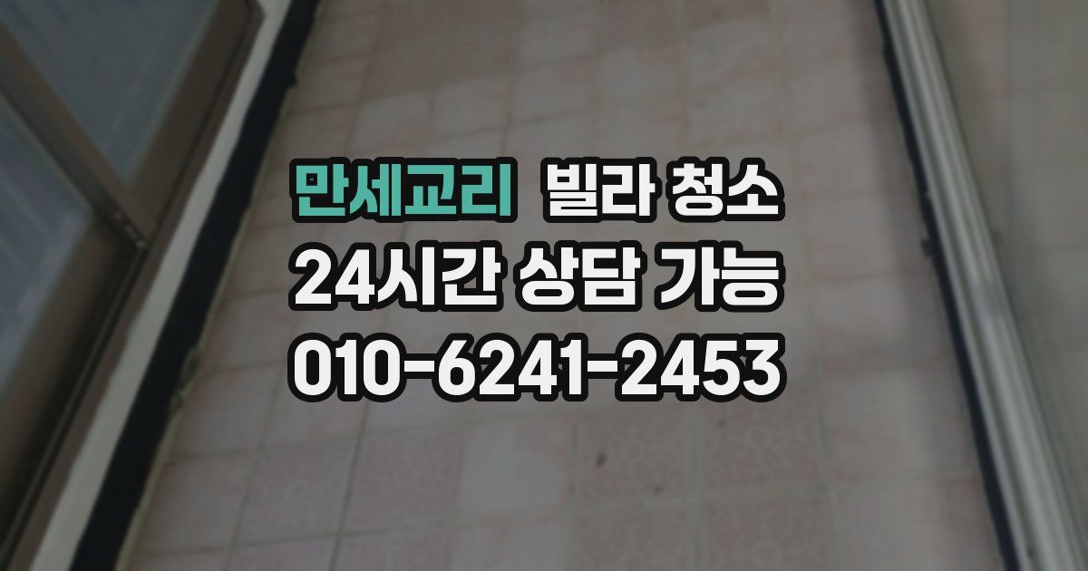 만세교리 빌라 청소
