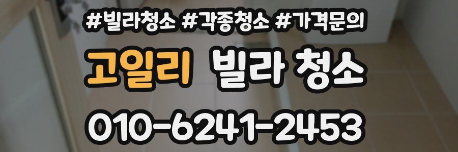 고일리 빌라 청소