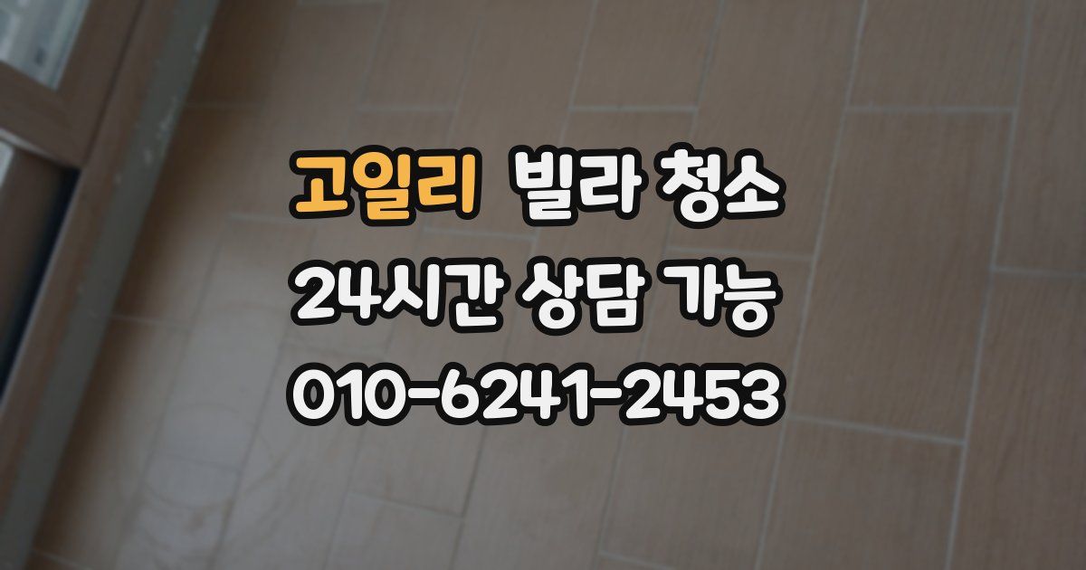 고일리 빌라 청소