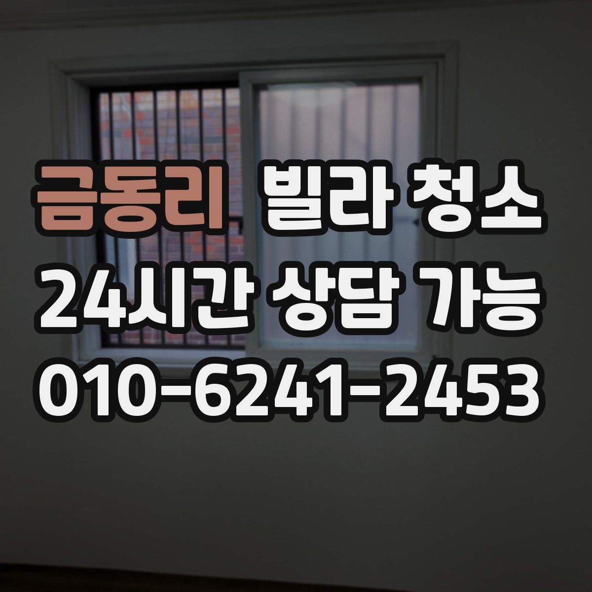 금동리 빌라 청소