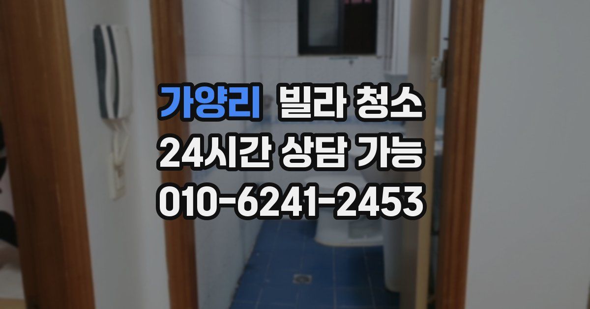 가양리 빌라 청소