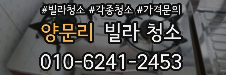 양문리 빌라 청소