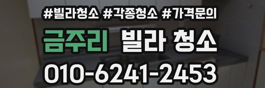 금주리 빌라 청소