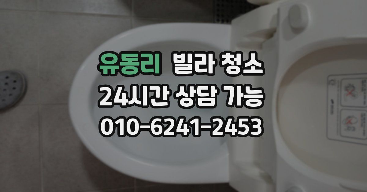 유동리 빌라 청소