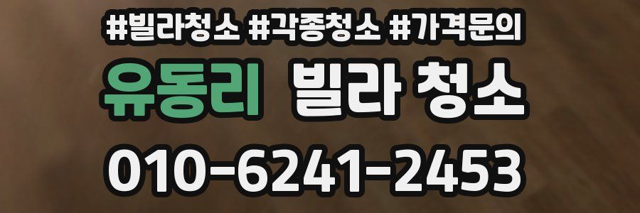 유동리 빌라 청소