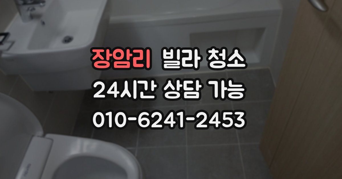 장암리 빌라 청소