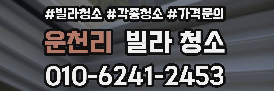 운천리 빌라 청소