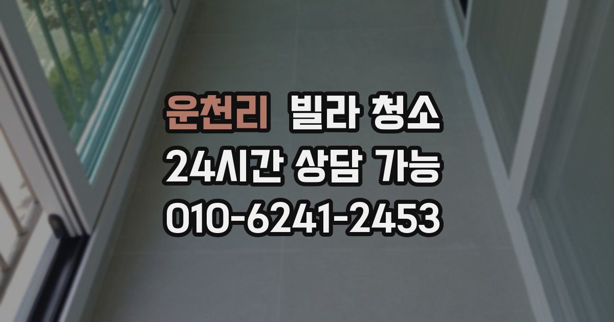 운천리 빌라 청소