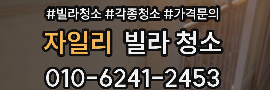 자일리 빌라 청소