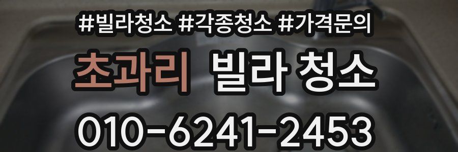 초과리 빌라 청소