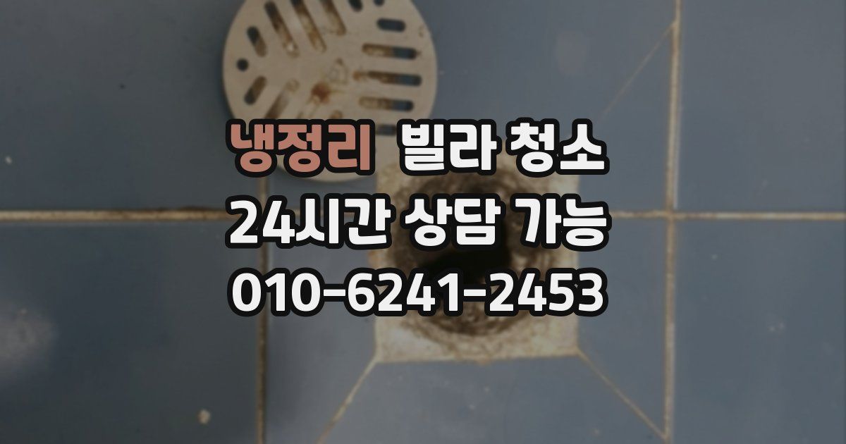 냉정리 빌라 청소