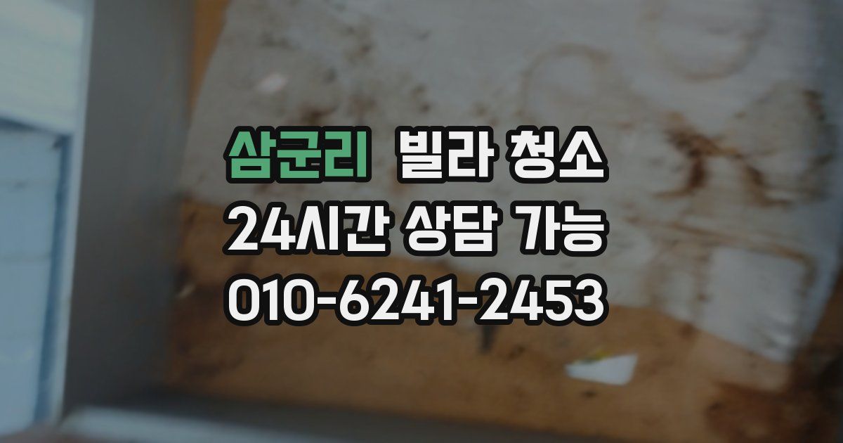 삼군리 빌라 청소