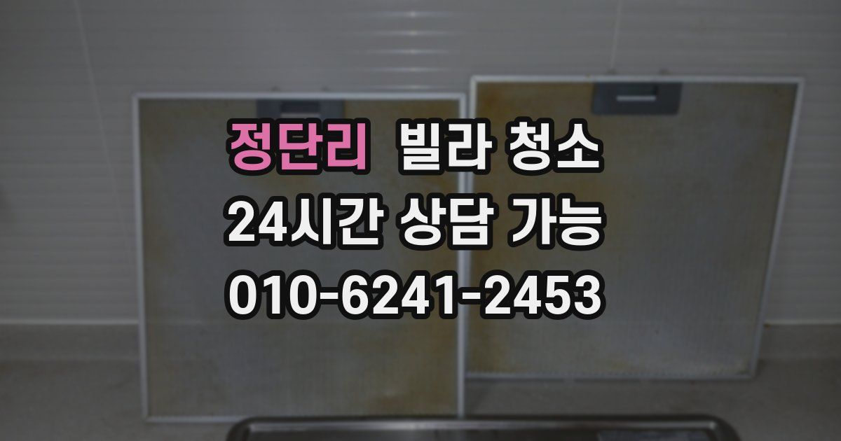 정단리 빌라 청소